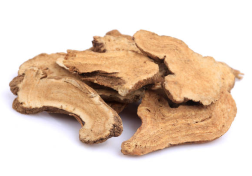 Vị thuốc Bạch truật - Dược liệu Ninh Hiệp