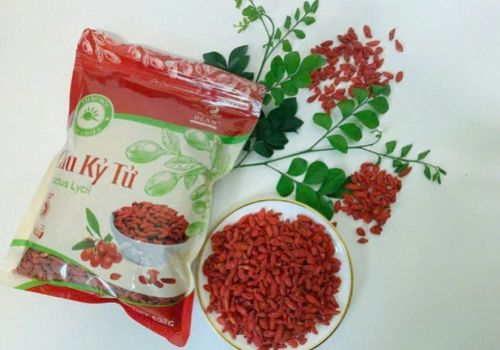 CÂU KỶ TỬ - DƯỢC LIỆU NINH HIỆP