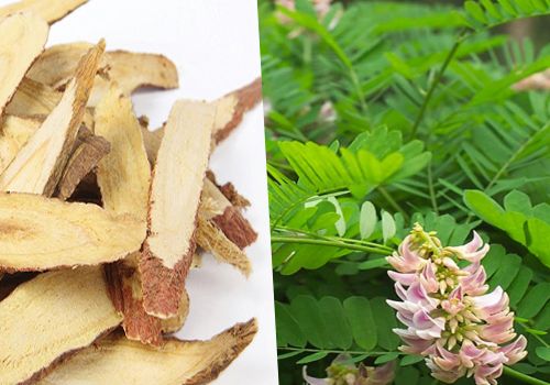 Dược liệu Cam thảo - Dược liệu Ninh Hiệp