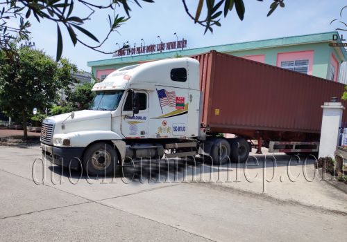 Hàng nhập khẩu CO/CQ - Dược Liệu Ninh Hiệp