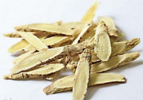 Vị thuốc Hoàng kỳ - Dược liệu Ninh Hiệp