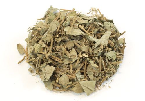 Dược liệu Tang Ký Sinh- Dược liệu Ninh Hiệp