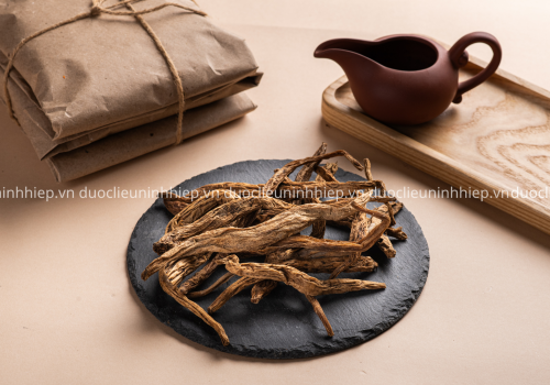 Dược liệu Bách bộ - Dược liệu Ninh Hiệp