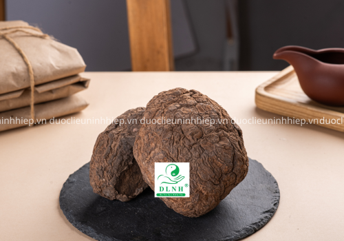Dược liệu Bạch Linh - Dược Liệu Ninh Hiệp