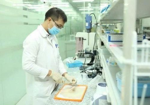 Bộ Y tế yêu cầu chuẩn hóa kiểm nghiệm độc tố cereulide trong sữa và sản phẩm dinh dưỡng
