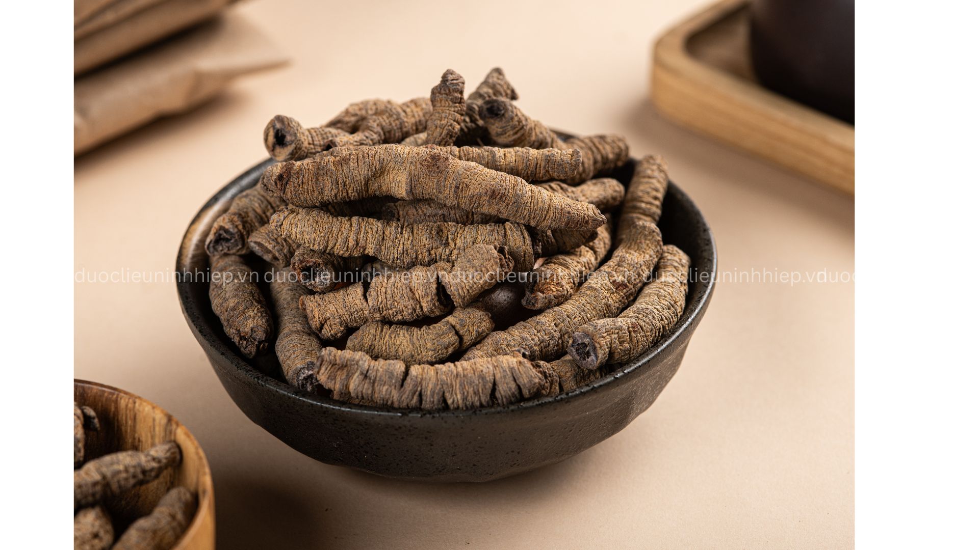 duoclieuninhhiep.vn (2)_1